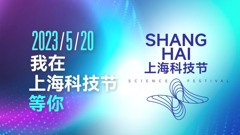 数据湖实战案例解析：优缺点全解析